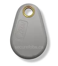 Keri key fob