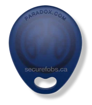 Paradox key fob
